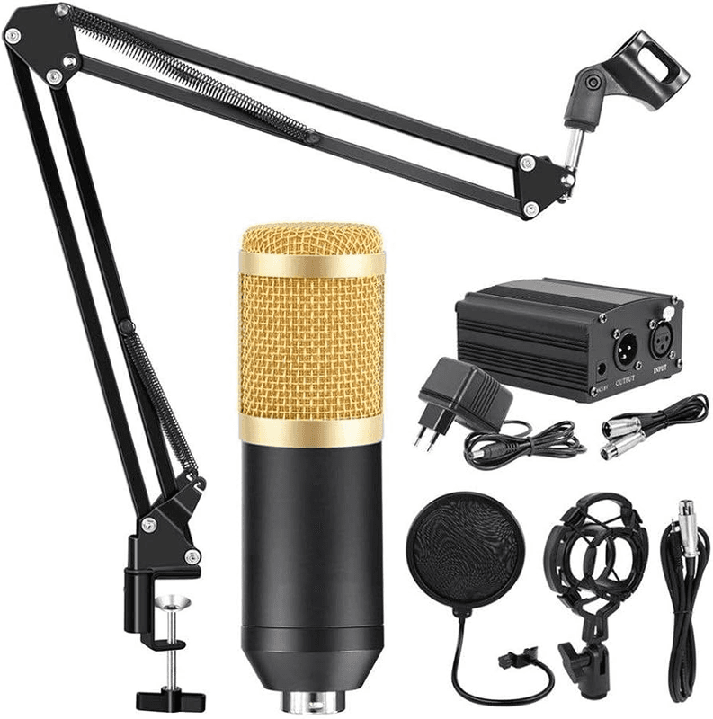 BM-800 Professional Condenser Microphone